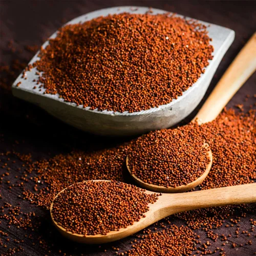 Finger Millets (Ragi)