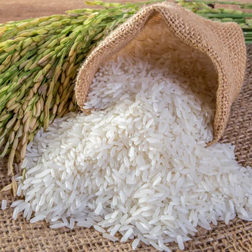 Rice