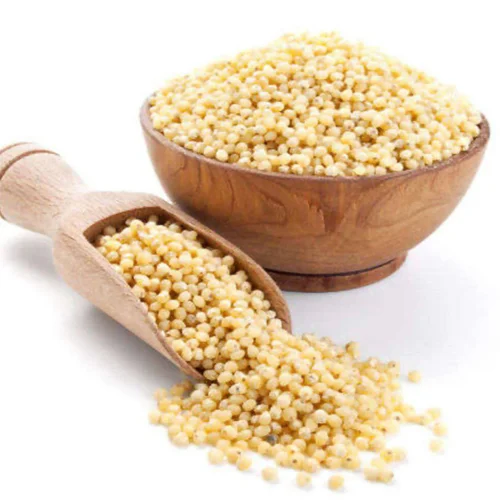 Sorghum Millets (Jowar)